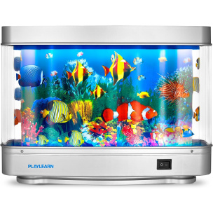 Fish Bowl Desktop Creative Mini Glass Round Aquarium Home Living Room  Office Filter LED Light Fish Tank Goldfish Bowl Fish Tank (Size : M) :  : Pet Supplies