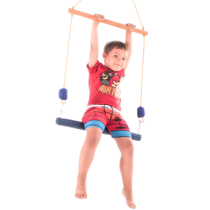Double Trapeze Therapy Swing