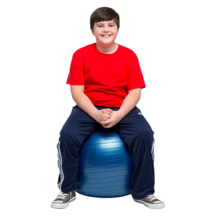 22" Weighted Balance Ball Seat